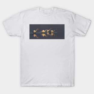 Fishing - Great Egrets T-Shirt